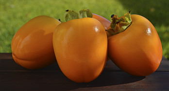 Tomel (kaki) Persimon 18 kg - Cena 53 €