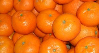 Mandarinky Clementina 12 kg
