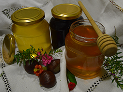 Kupte med online - Valencia natural honey online