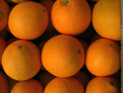 Kupte pomeranče online - Valencia oranges online