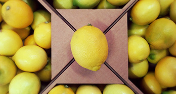 Citrony 10 kg - Cena 37 €