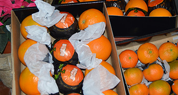 45 pomerančů a 28 mandarinek gourmet - Cena 60 €