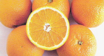 Pomeranče Valencia 15 kg - Cena 44 €